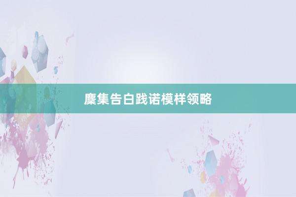 麇集告白践诺模样领略