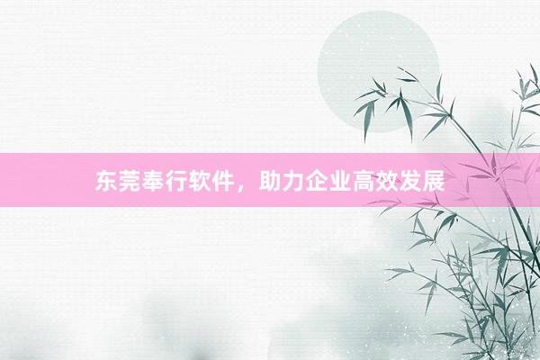 东莞奉行软件，助力企业高效发展
