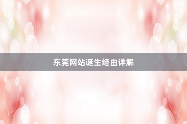 东莞网站诞生经由详解