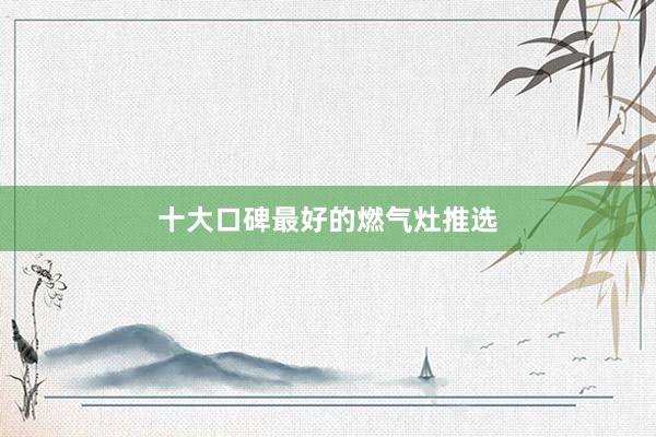 十大口碑最好的燃气灶推选
