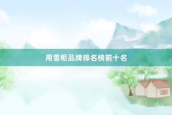 用雪柜品牌排名榜前十名